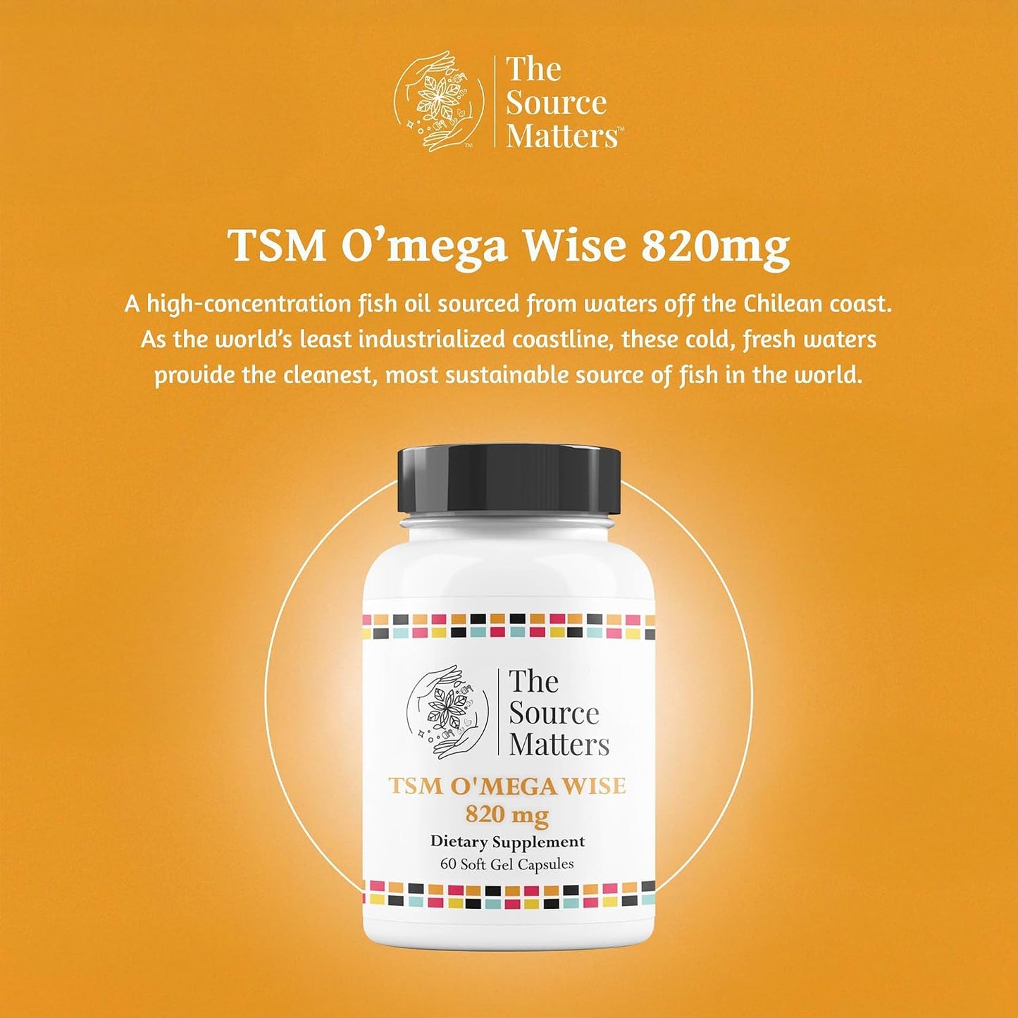 O'MEGA Wise - 820mg High-concentration Omega-3 Fish Oil with EPA, DHA, DPA for Cardiovascular, Brain, Joint and Eye Health (60 Soft gel capsule Capsules) - görsel 2