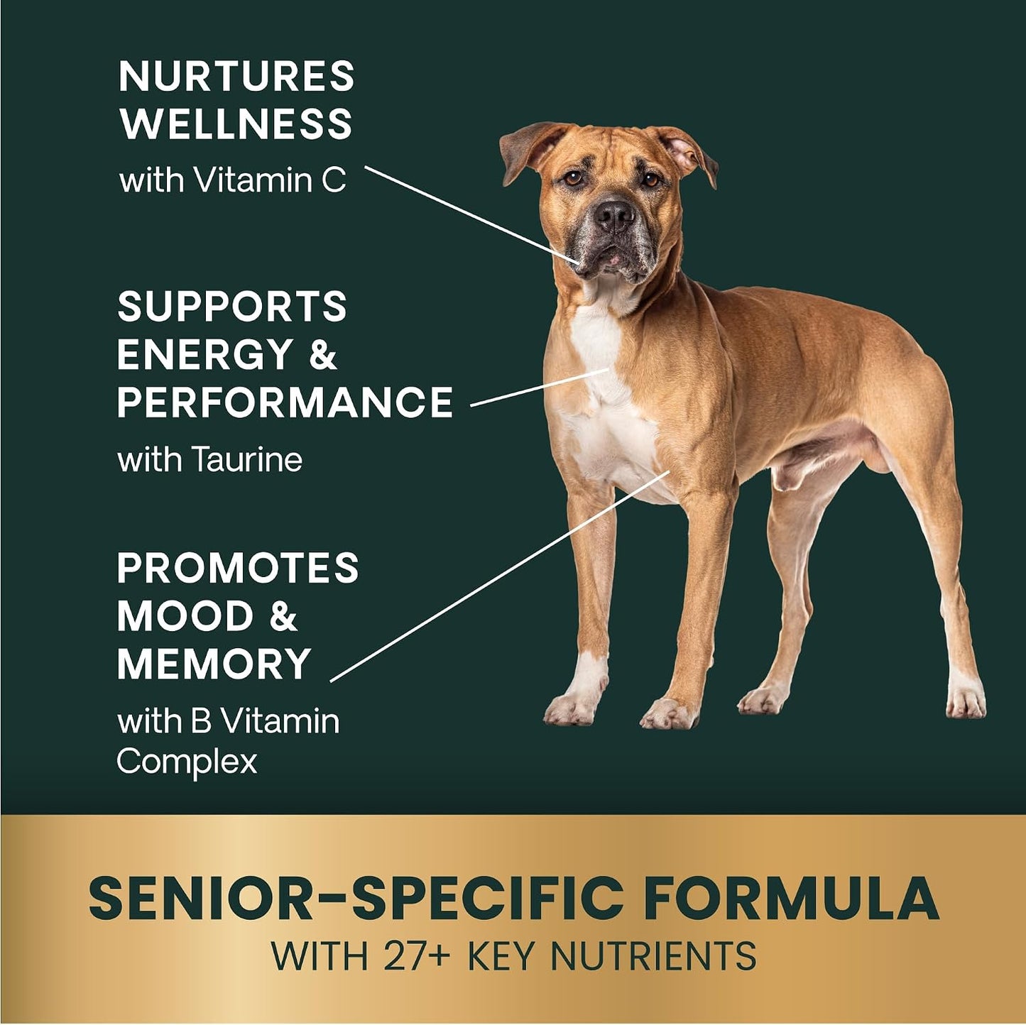 VetriScience Extra Strength Senior 27+ Active Health Chews, Golden Years Daily Multivitamin for Senior Dogs, Chicken Flavour, 60 Count - görsel 4
