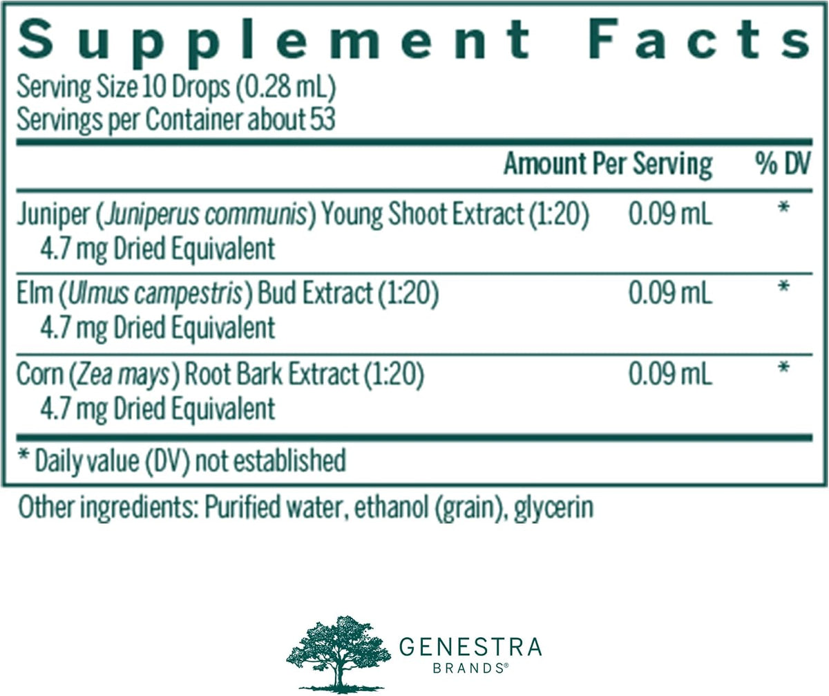 Genestra Brands Renal-gen Herbal Food Supplement with Juniper, Elm, and Corn - görsel 2