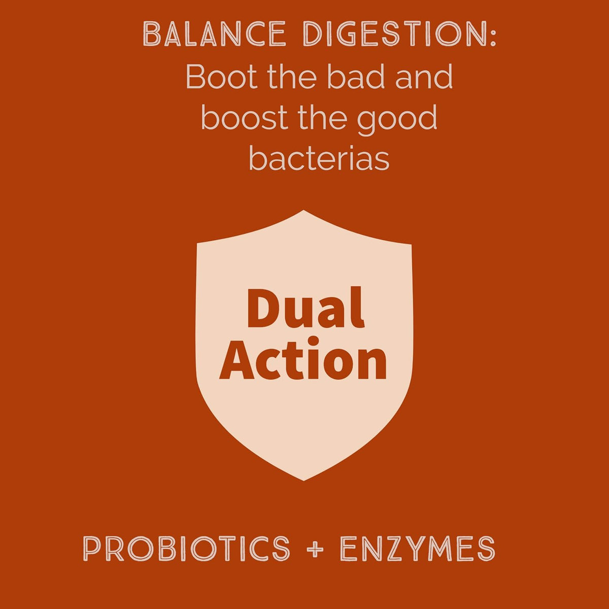 Bacillus B3 Spore-Based Probiotic + Enzymes for Gut Health & Microbiome Support, Shelf-Stable Daily Probiotic with Bacillus Coagulans, Bacillus Subtilis & Bacillus Clausii, 60 Capsules - görsel 3