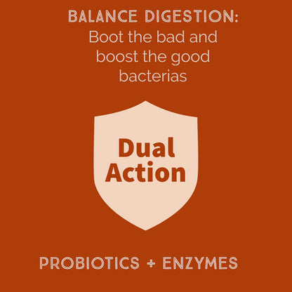 Bacillus B3 Spore-Based Probiotic + Enzymes for Gut Health & Microbiome Support, Shelf-Stable Daily Probiotic with Bacillus Coagulans, Bacillus Subtilis & Bacillus Clausii, 60 Capsules