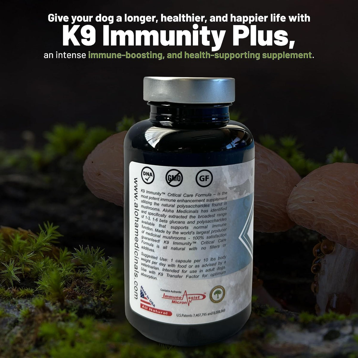 Aloha Medicinals K9 Immunity, Immune Support Supplement for Dogs, Organic Mushroom Blend, 90 Capsules - görsel 3