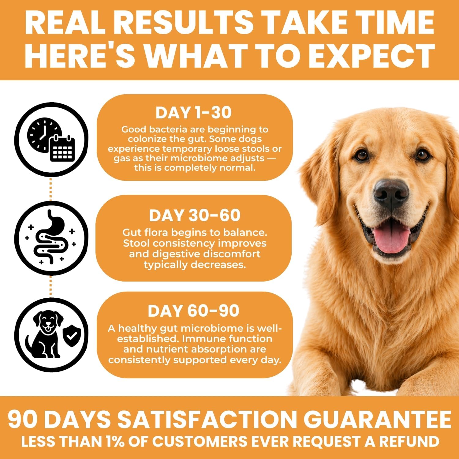 TRATEZ Probiotics for Dogs - Bacillus Coagulans & Prebiotic Fibre Soft Chews - Digestive and Immune Support - Duck Flavour - 90 Count - görsel 7