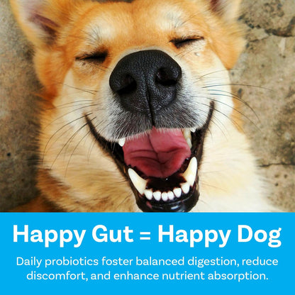 PawSafe® Dog Probiotics Soft Chews for Picky Eaters - Made in USA, 120 Count - Digestive & Gut Health Support - Natural with Pumpkin - Honey Chicken Flavour