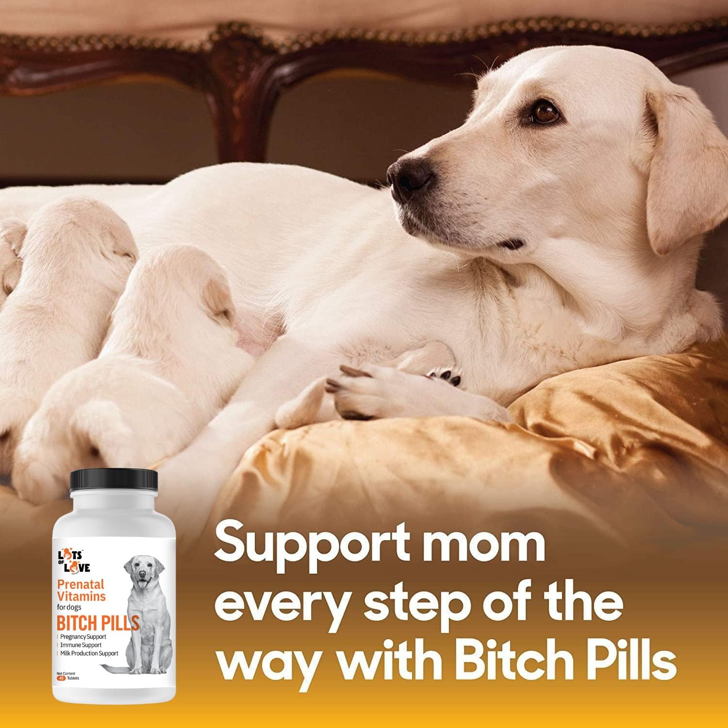 Bitch Pills - Prenatal Dog Vitamins - 45 Tablets - görsel 3