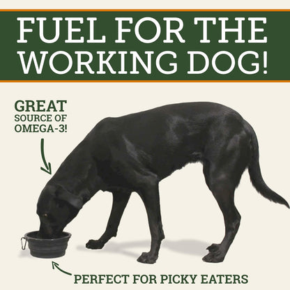 DogBone Omega 3 Fish Oil for Dogs - Wild-Caught Salmon & Pollock, EPA + DHA for Joint, Skin, Heart & Recovery - 946ml Pump