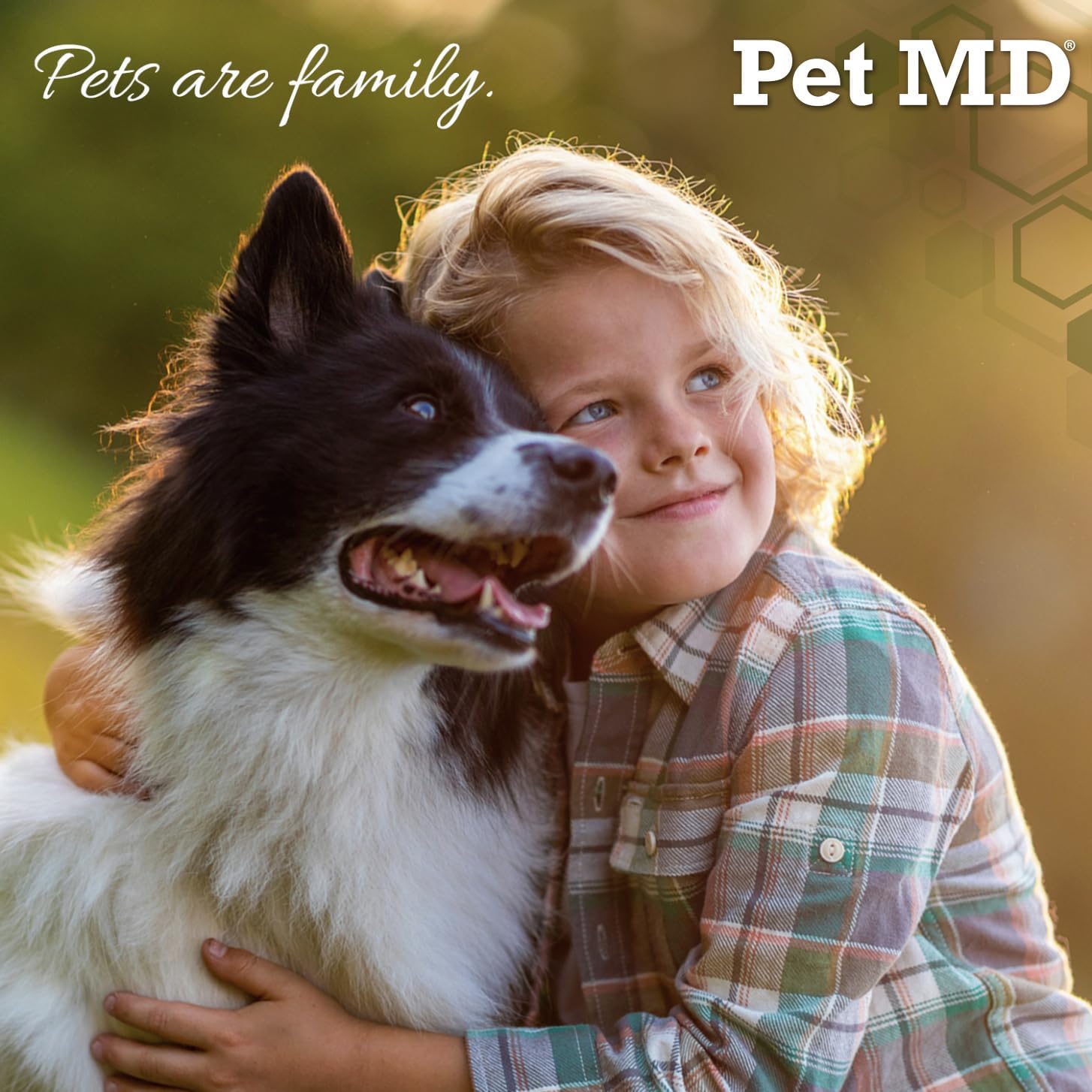 Pet MD Mushroom Immune Support for Dogs & Cats - Turkey Tail, Shiitake, Milk Thistle & CoQ10 Supplement - 120 Soft Chews - görsel 8