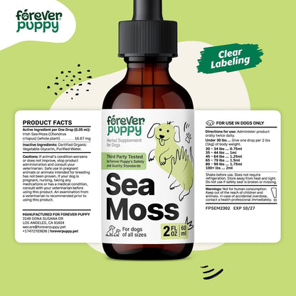 Forever Puppy Irish Sea Moss Drops for Dogs - Thyroid Function & Energy - Nutritional Drops with Liquid Sea Moss Extract - Alcohol-Free - 60 ml