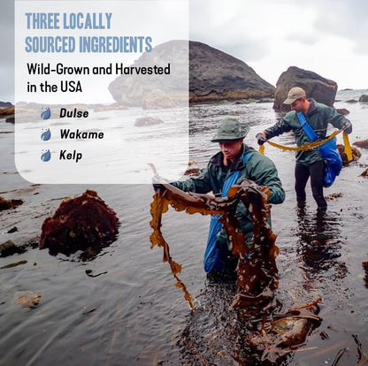 Dr. Cowan’s Garden Sea Vegetable – Pure Seaweed Powder Blend, Wild Harvested Atlantic Dulse, Wakame & Kelp – 20 Servings