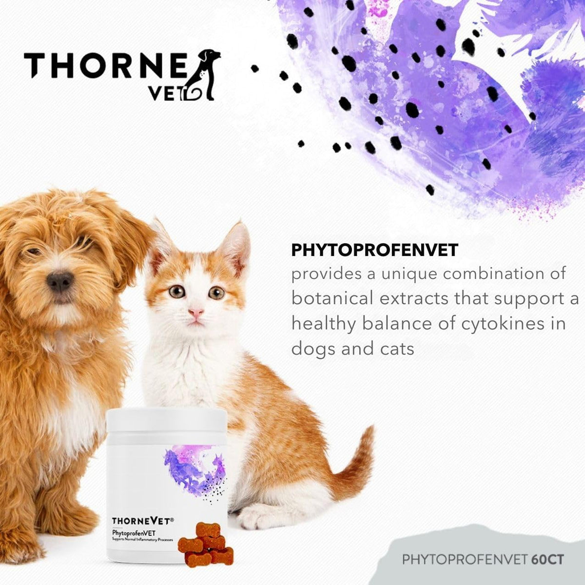 PhytoprofenVET – Inflammatory Support Supplement for Dogs & Cats, 60 Soft Chews - görsel 2