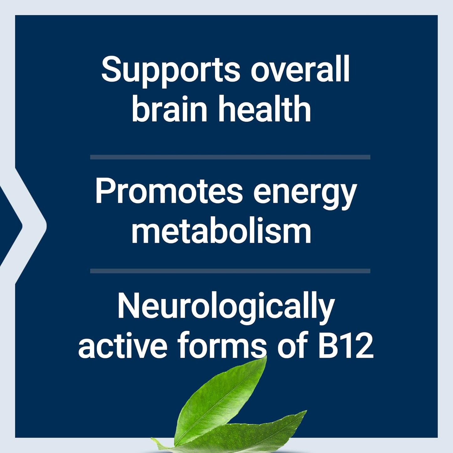 Life Extension B12 Elite - Adenosylcobalamin & Methylcobalamin Lozenges for Brain Health and Energy Metabolism, 60 Count - görsel 4