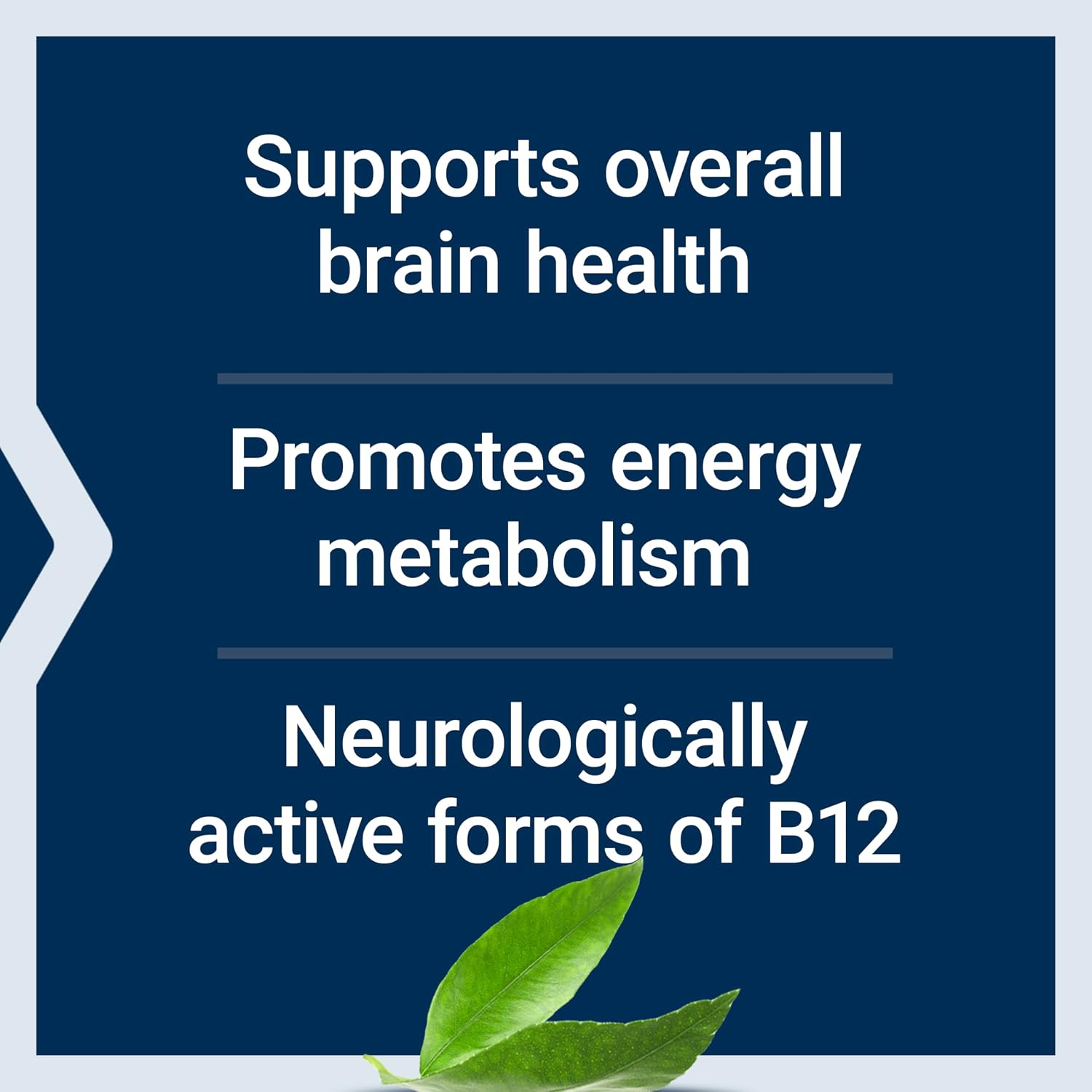 Life Extension B12 Elite - Adenosylcobalamin & Methylcobalamin Lozenges for Brain Health and Energy Metabolism, 60 Count - görsel 4