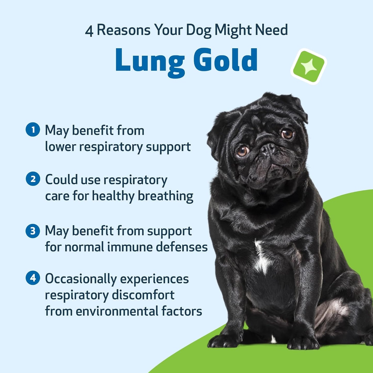 Pet Wellbeing Lung Gold for Dogs – 59 ml Liquid - görsel 3