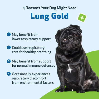 Pet Wellbeing Lung Gold for Dogs – 59 ml Liquid
