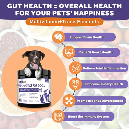NATURE TARGET Probiotics for Dogs, 6 Billion Freeze-Dried Dog Probiotics with Prebiotics, Enzymes, Vitamins & Omega-3, for Digestive and Gut Health, Itching Relief, Reduced Diarrhoea, 120 Chews
