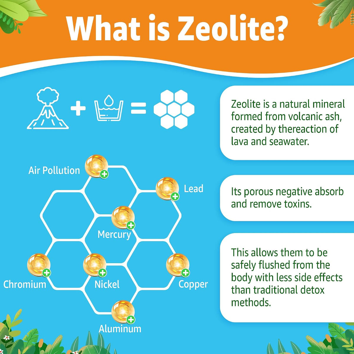 LILICARE Zeolite Gummies for Kids & Adults - Sugar Free Detox Supplement with Chlorella, Spirulina, Minerals & Choline - 60 Gummies - görsel 4