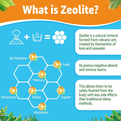 LILICARE Zeolite Gummies for Kids & Adults - Sugar Free Detox Supplement with Chlorella, Spirulina, Minerals & Choline - 60 Gummies