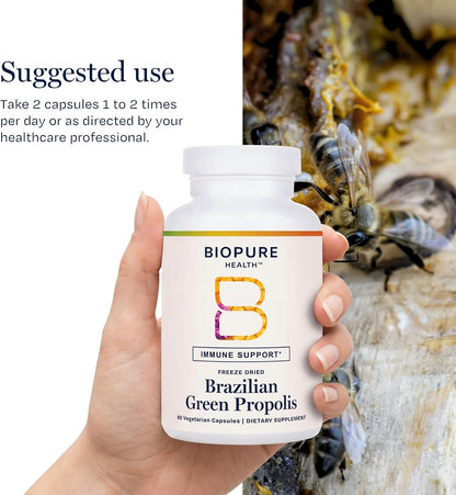 BioPure Brazilian Green Propolis Extract – Natural Freeze-Dried Extract with Artepillin-C and Phenols – 60 Capsules