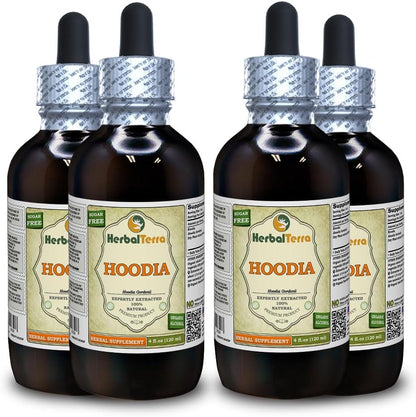 HerbalTerra Hoodia Gordonii Glycerite – Alcohol-Free Liquid Extract, 2-Pack (2 x 60 ml)