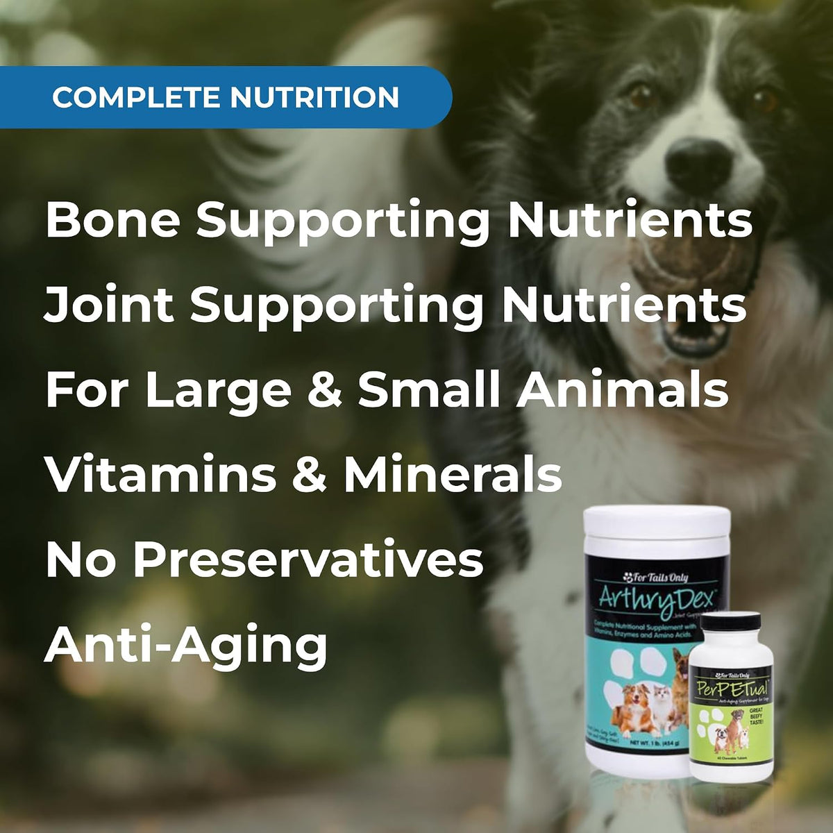 Youngevity Healthy Pet Combo Pak - Arthrdex (1 lb) & PerPetual (60 Chewables) - görsel 5