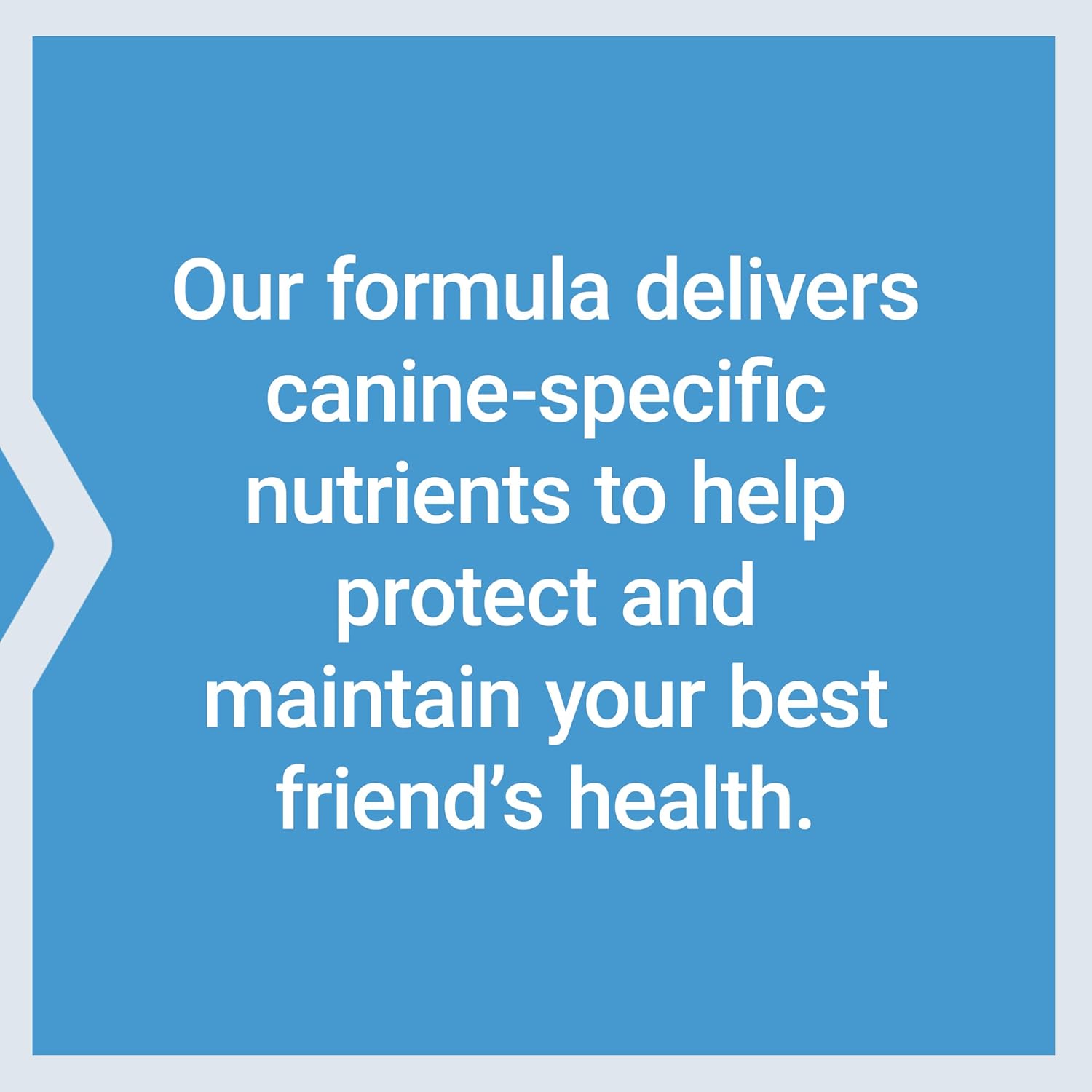 Life Extension Dog Mix - Complete Multivitamin for Dogs with Probiotics and L-Carnitine - görsel 7