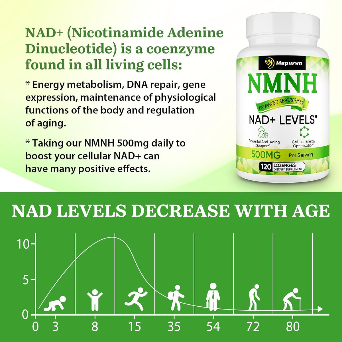 Mapurwn NMNH (Dihydronicotinamide Mononucleotide) - 500mg NAD+ Food Supplement, 120 Lozenges - görsel 4