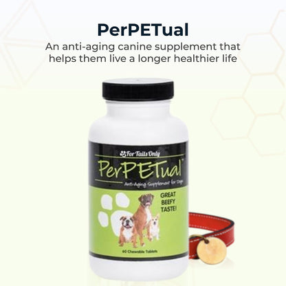 Youngevity Perpetual™ - Maximum Strength Anti-Ageing Dog Bone Support - with Glucosamine, Choline, MSM, Milk Thistle, Calcium, Turmeric & More - 60 Chewable Tablets