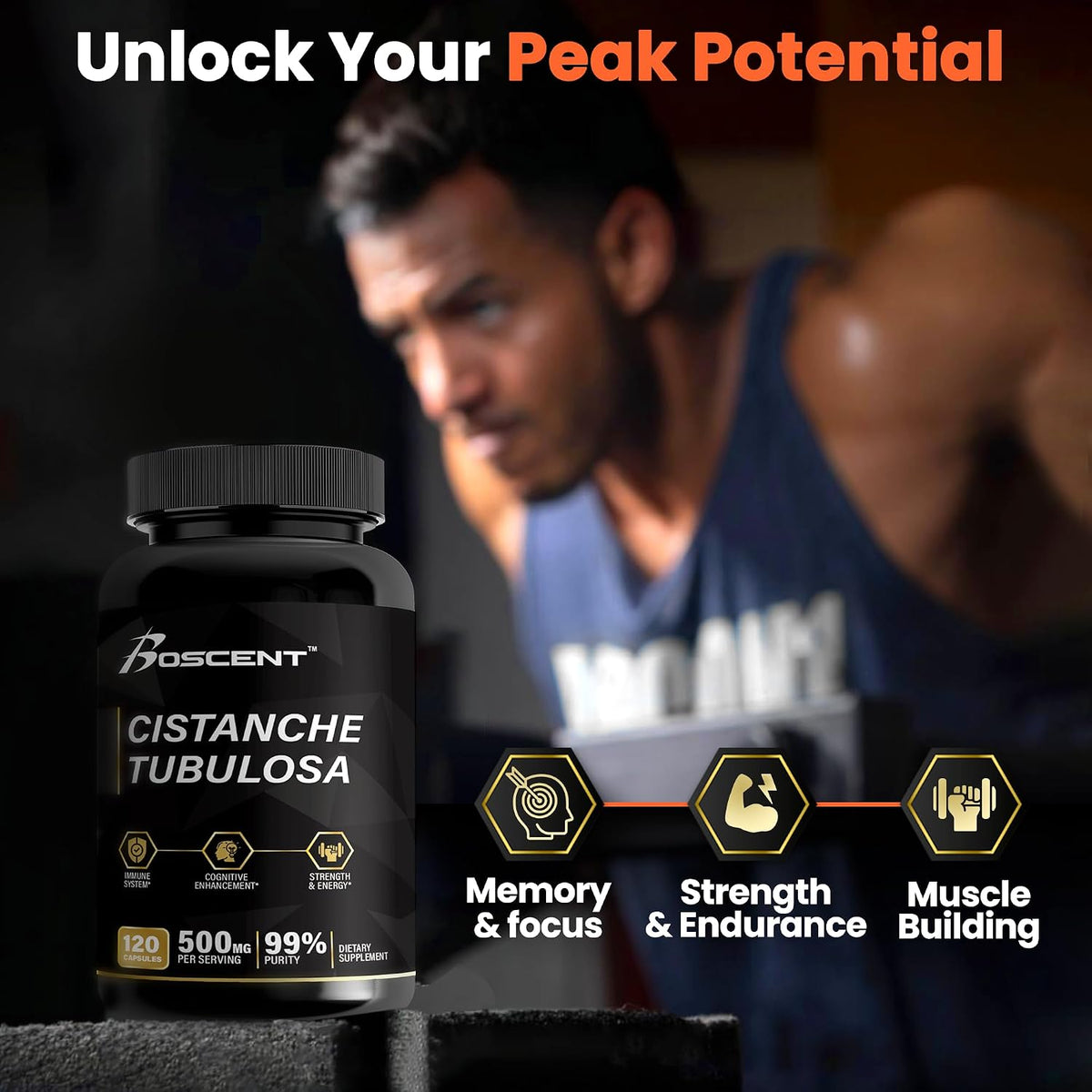 Cistanche Tubulosa Extract 500mg (120 Capsules) – Standardised 50% Echinacosides, 10% Acteosides - görsel 6