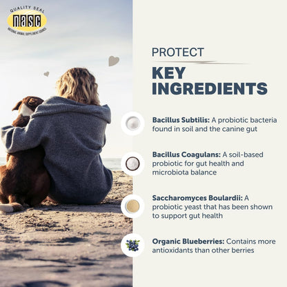 Protect - Probiotics for Dogs - Veterinary Formulated - with Natural Prebiotics and Antioxidants - Detoxification & Gut Health - 30 Day Large Dog Supply