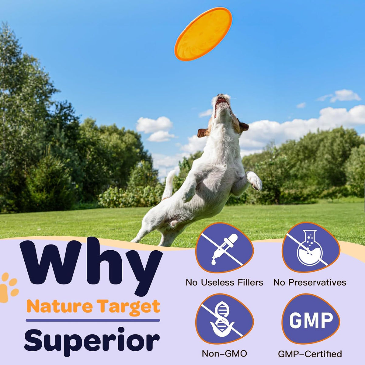 NATURE TARGET Probiotics for Dogs - 6 Billion CFU Probiotic Powder with Prebiotics & Digestive Enzymes - görsel 7
