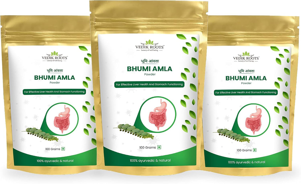 Bhumi Amla Powder | Phyllanthus Niruri | Antioxidant | Supports Liver & Kidney Health | for Better Digestion | Pure Herbal Supplement | 100 Grammes - görsel 1