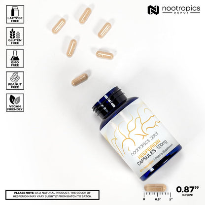 Nootropics Depot Hesperidin Capsules 500mg – 90% Citrus Extract