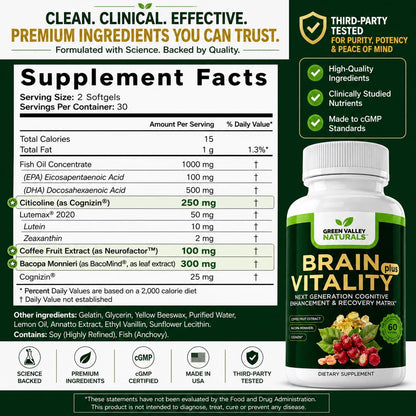 GREEN VALLEY NATURALS Brain Vitality Plus – Brain Health & Cognitive Support with Cognizin Citicoline, Bacopa Monnieri & DHA Omega-3 (60 Soft gel capsules)