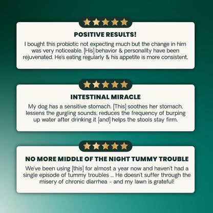 VetriScience Extra Strength Healthy Gut & Digestion Chewable Tablets – Probiotic & Enzyme Supplement for Dogs, 120 Tablets