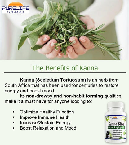 Kanna Bliss - Herbal Adaptogen Supplement (60 Vegetarian Capsules)