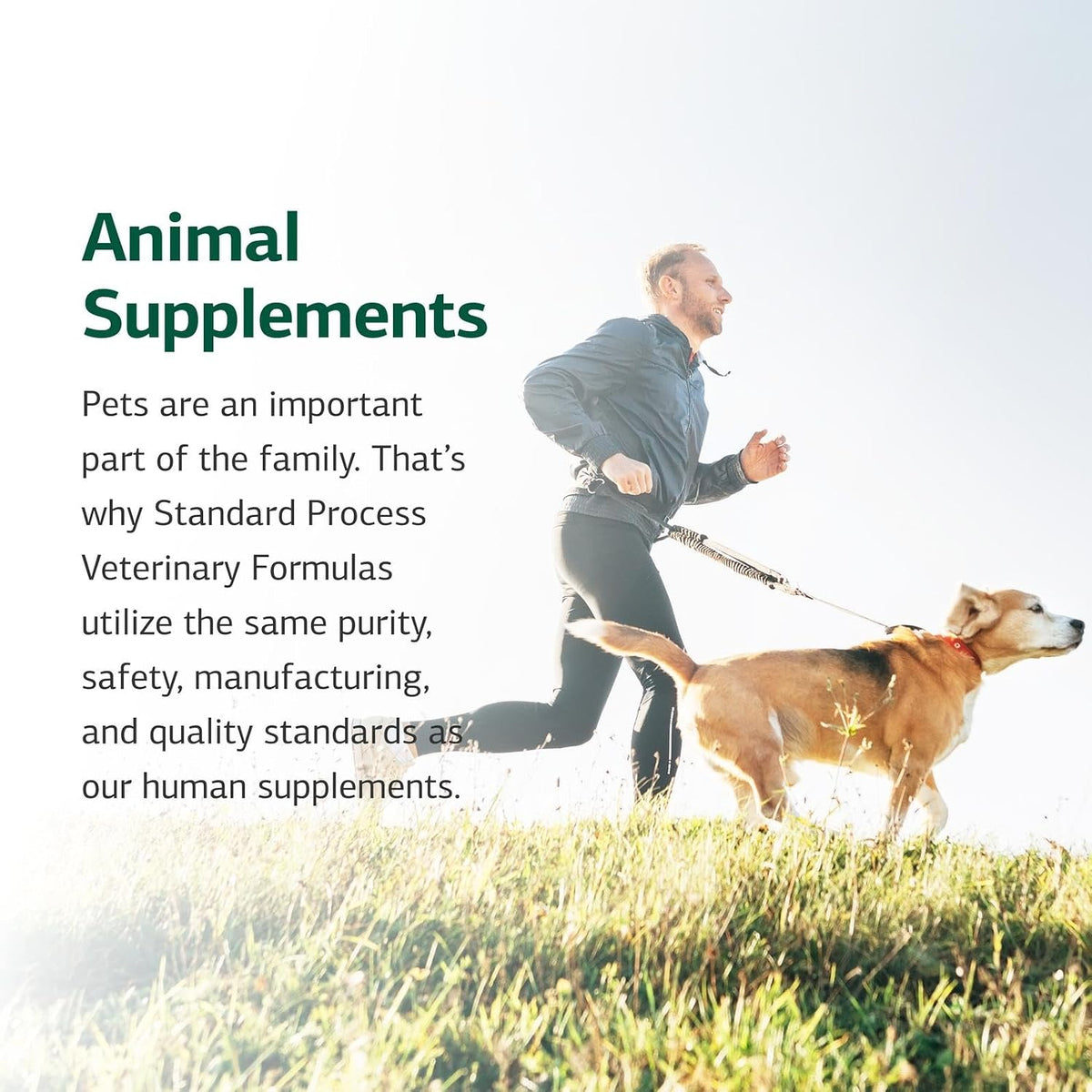 Standard Process Inc. Whole Body Multisystem Support Supplement for Dogs – Nutritional Powder for Daily Health Maintenance – 25 g - görsel 6