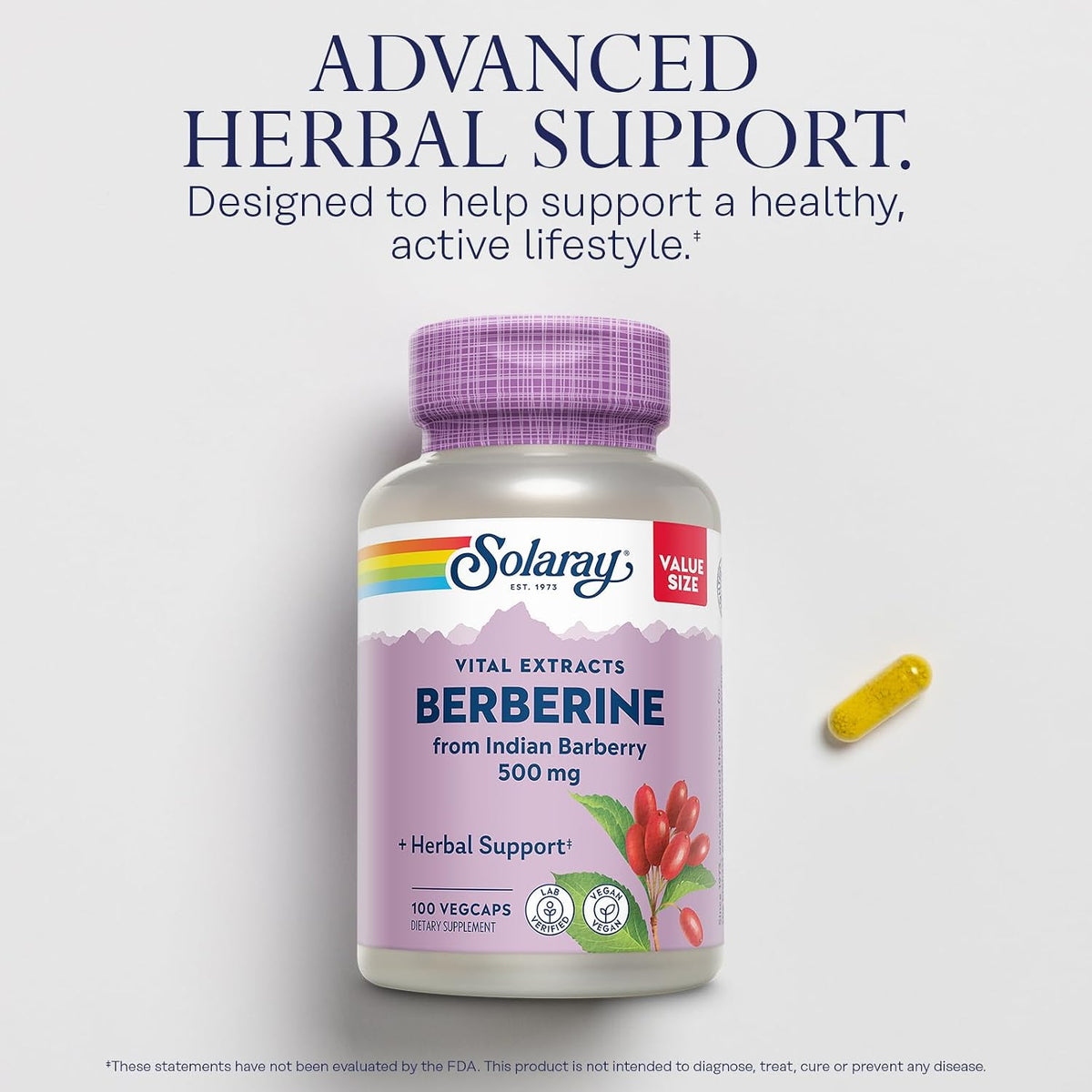 SOLARAY Berberine 500mg - Berberine HCl Food Supplement from Indian Barberry, Vegan, Non-GMO, 100 VegCaps - görsel 3