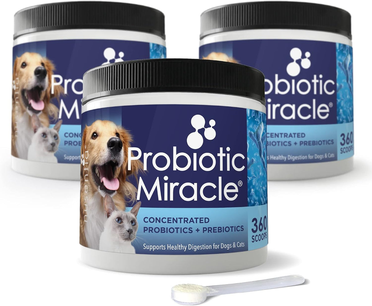 NUSENTIA Probiotic Miracle for Dogs and Cats (3-Pack) - görsel 1
