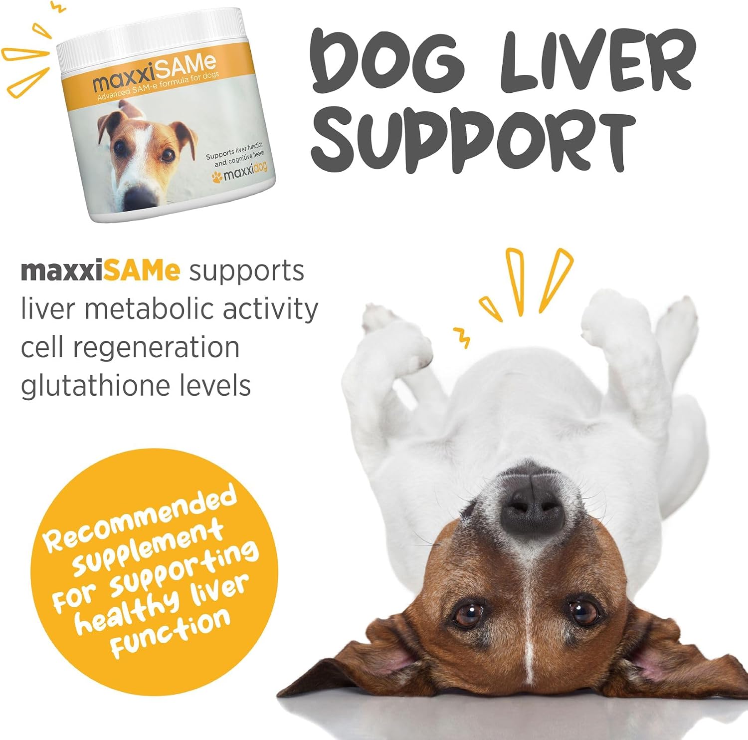 maxxiSAMe Advanced SAM-e Powder Supplement - Liver, Cognitive & Joint Support for Dogs, 150g - görsel 2