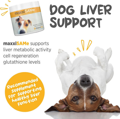 maxxiSAMe Advanced SAM-e Powder Supplement - Liver, Cognitive & Joint Support for Dogs, 150g