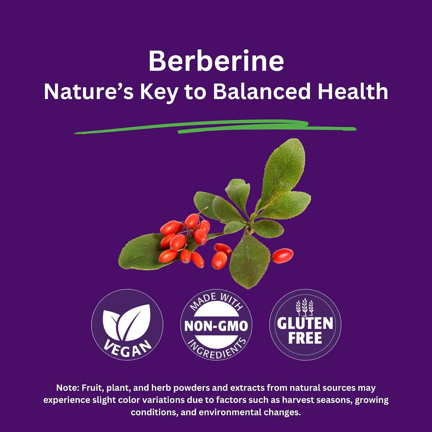 Paradise Herbs Berberine Extract, 500 mg, 60 Vegetarian Capsules - görsel 3