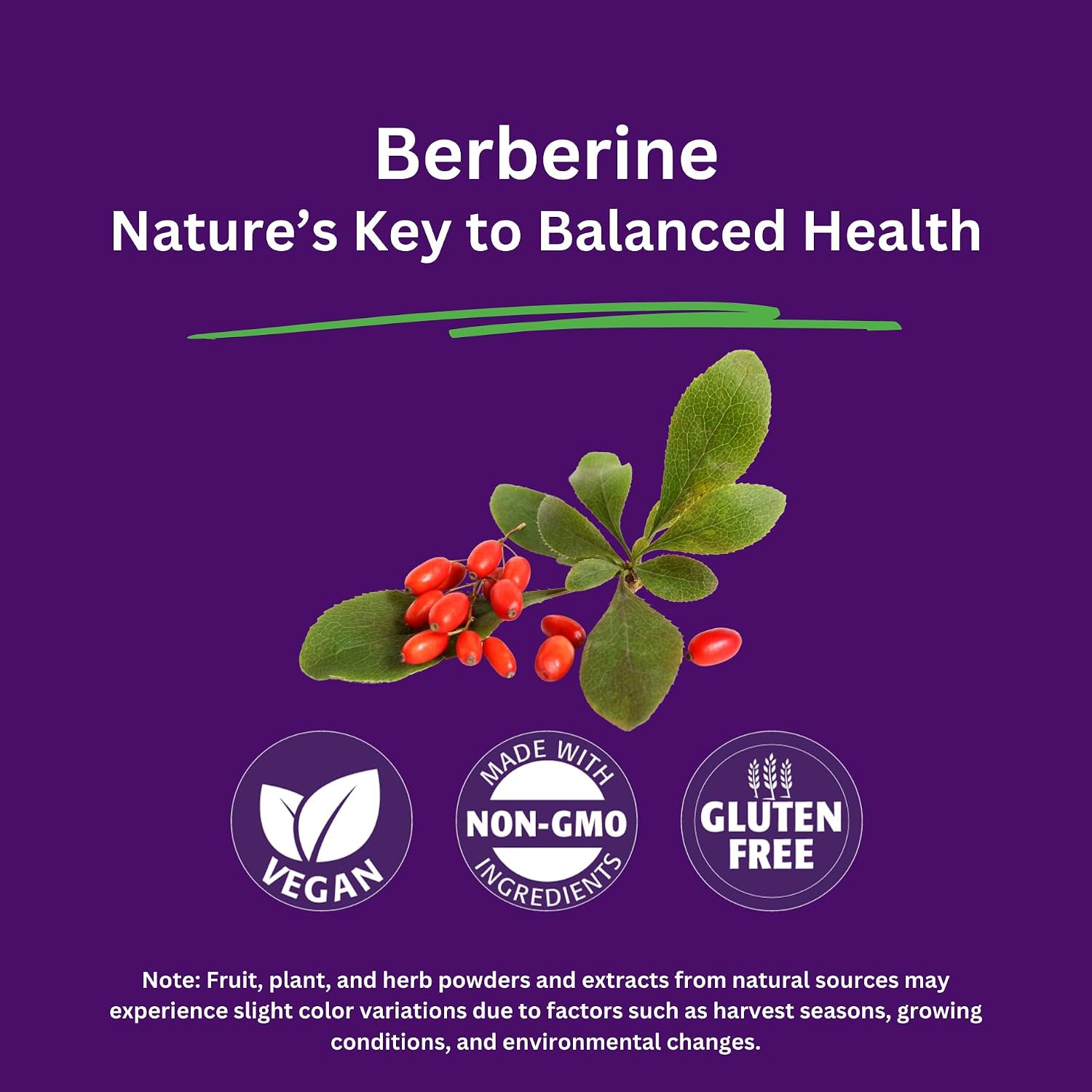 Paradise Herbs Berberine Extract, 500 mg, 60 Vegetarian Capsules - görsel 3
