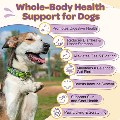 Probiotics for Dogs – 6 Billion CFUs & 10 Strains with Prebiotics, Omega-3, Digestive Enzymes & Multivitamins, Dog Probiotics for Digestive Health, Immune Support, Skin & Coat, 120 Duck Flavour Chews