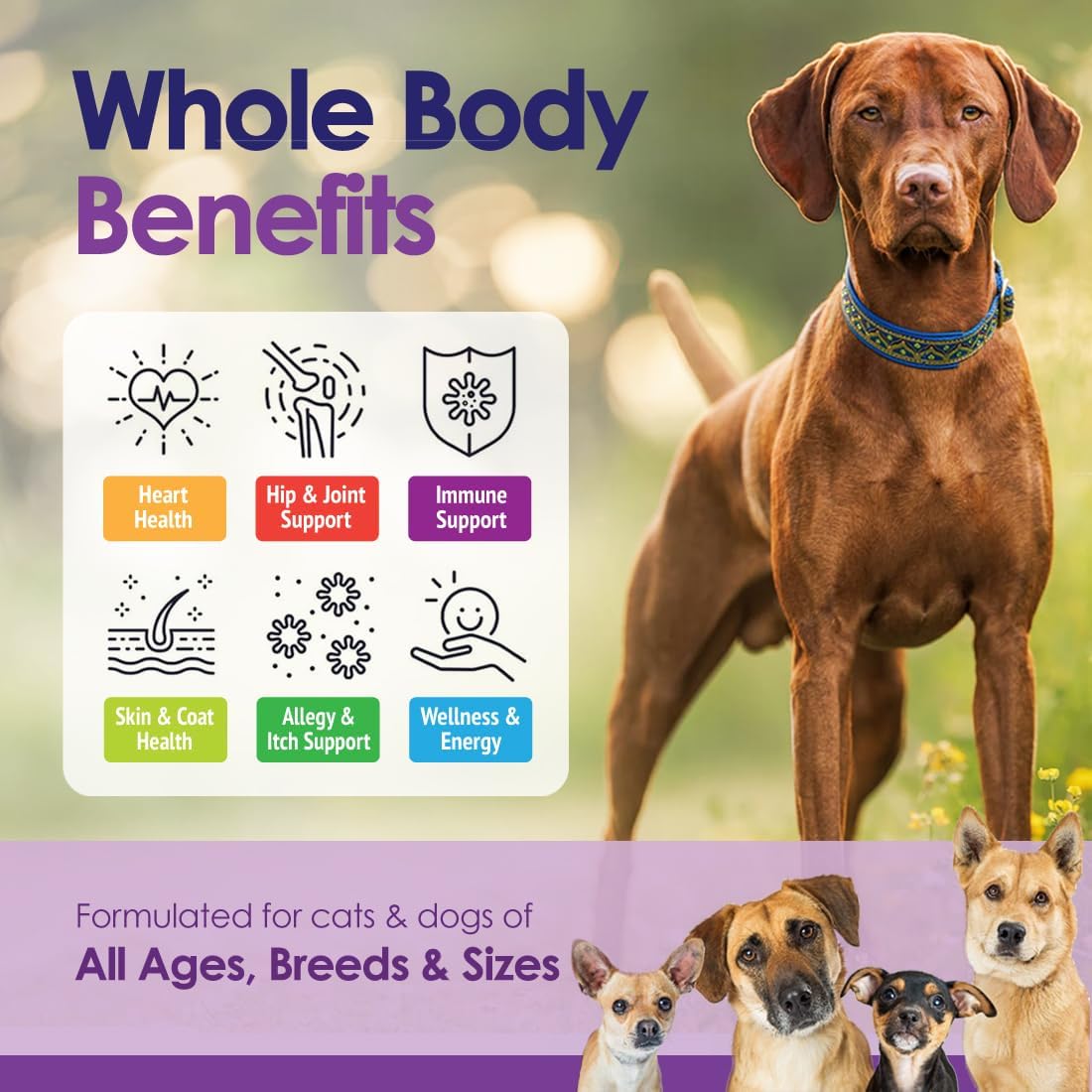 NuLife Natural Pet Health Dog Multivitamin Chewable - 22-in-1 with Green Lipped Mussel & Omega-3 - 60 Beef Chews - görsel 3