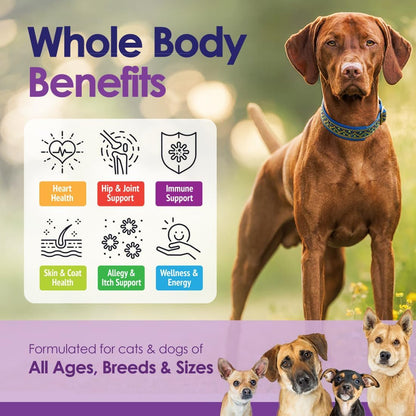 NuLife Natural Pet Health Dog Multivitamin Chewable - 22-in-1 with Green Lipped Mussel & Omega-3 - 60 Beef Chews