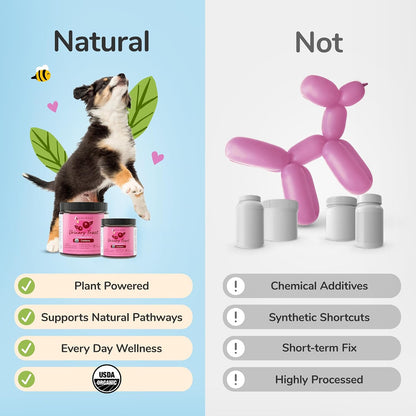 kin+kind Urinary Tract Support Supplement for Dogs and Cats – Organic, Vet-Formulated, 3x8 oz