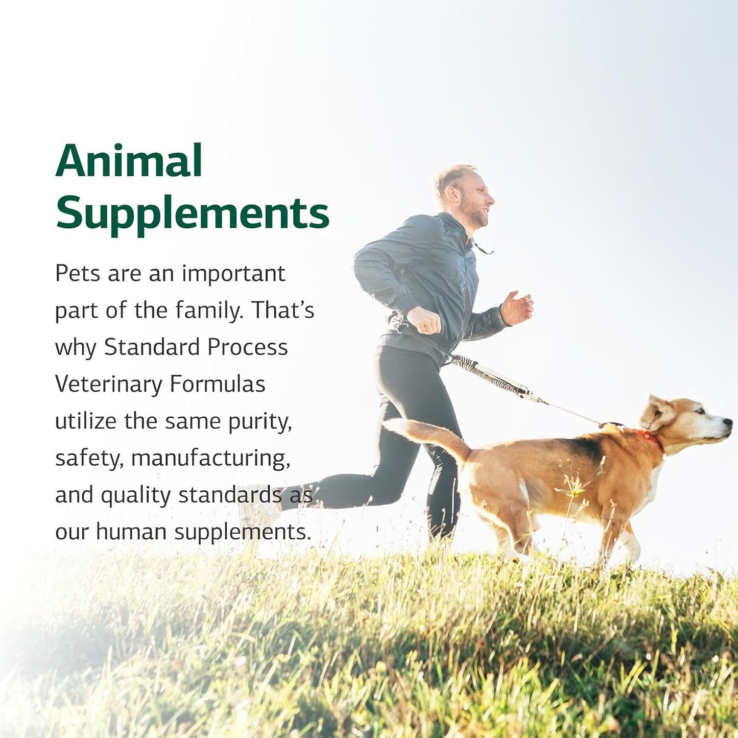Standard Process Whole Body Canine Multivitamin Powder - görsel 6