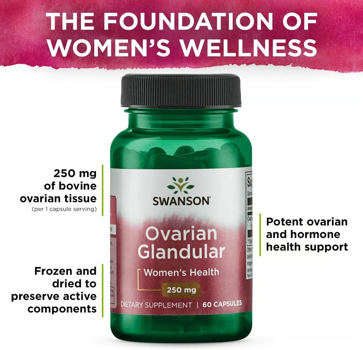 Swanson Ovarian Glandular – Natural Supplement for Women's Glandular Health & Balance Support – Sourced from Premium Bovine Tissue to Support Wellbeing – (60 Capsules, 250mg Each) (4 Pack) - görsel 5