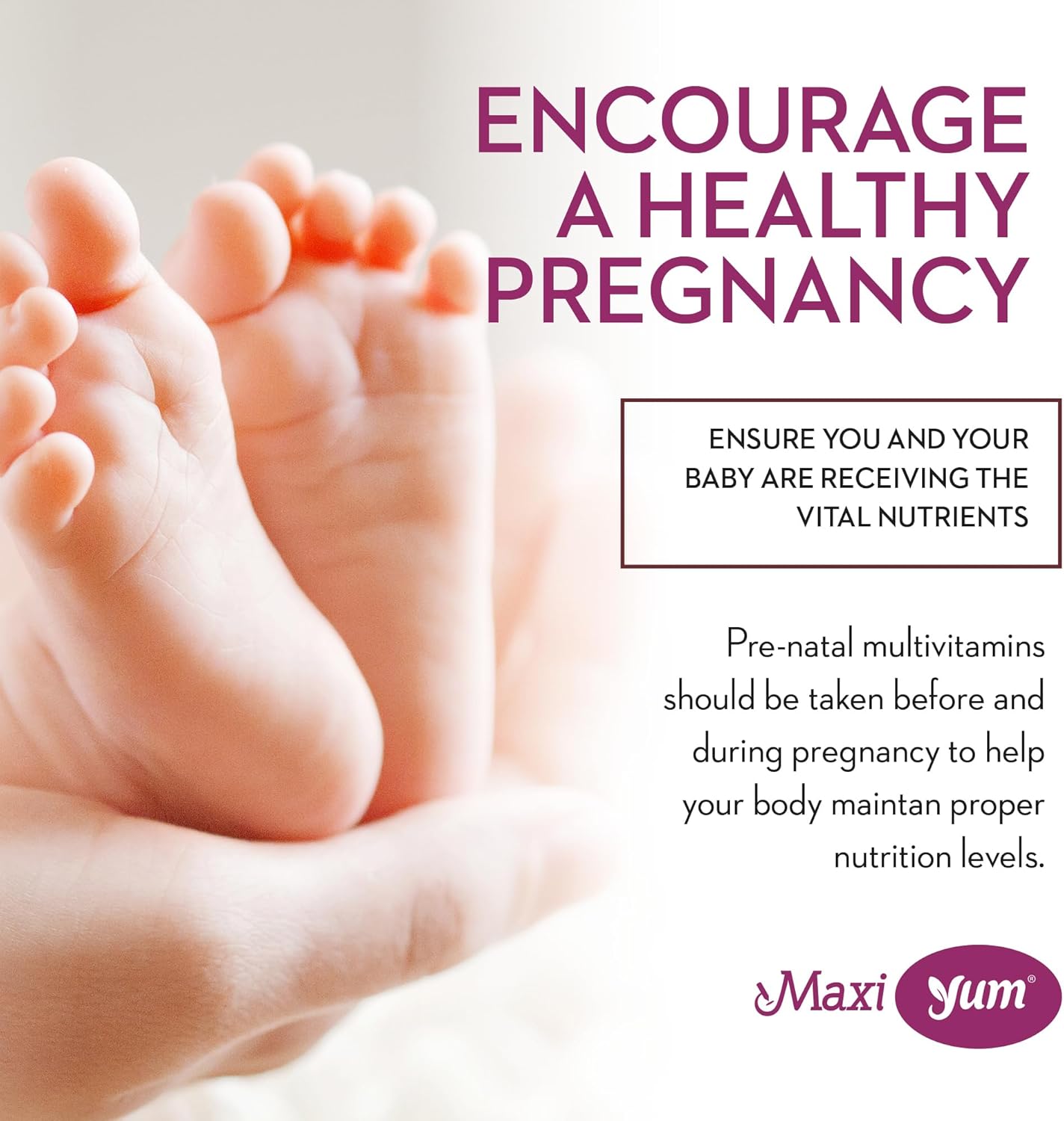 Maxi Health Women's Organic Prenatal Gummies – Kosher Cherry Flavoured with Folic Acid and Iron, 60 Count - görsel 5