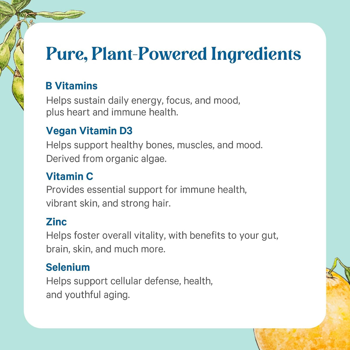 PURE SYNERGY Multi·Vita·Min | Vegan Multivitamin Made with Organic Whole Foods | Twice Daily Supplement for Men and Women | Core Nutrients for Energy, Mood, Immune, and Bone Health (60 Tablets) - görsel 5